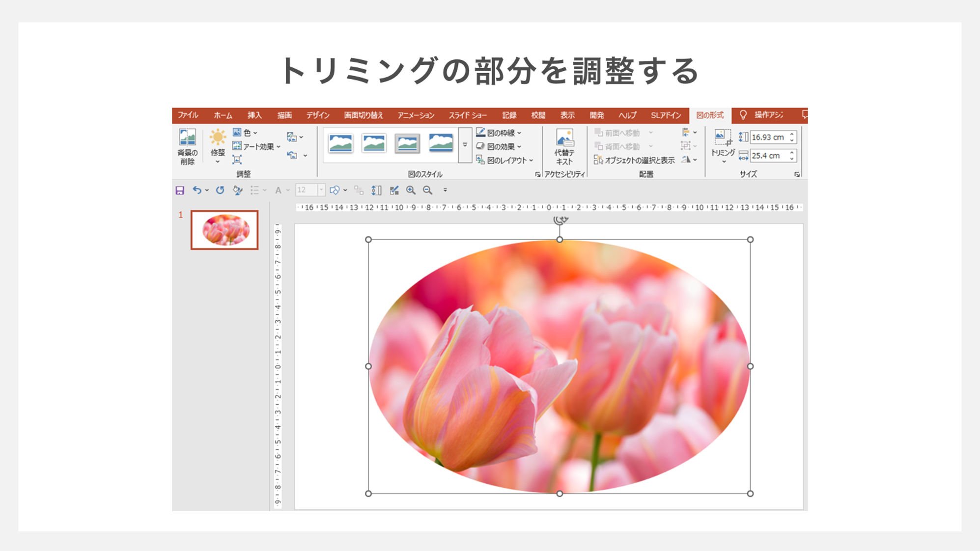 トリミングの部分を調整する